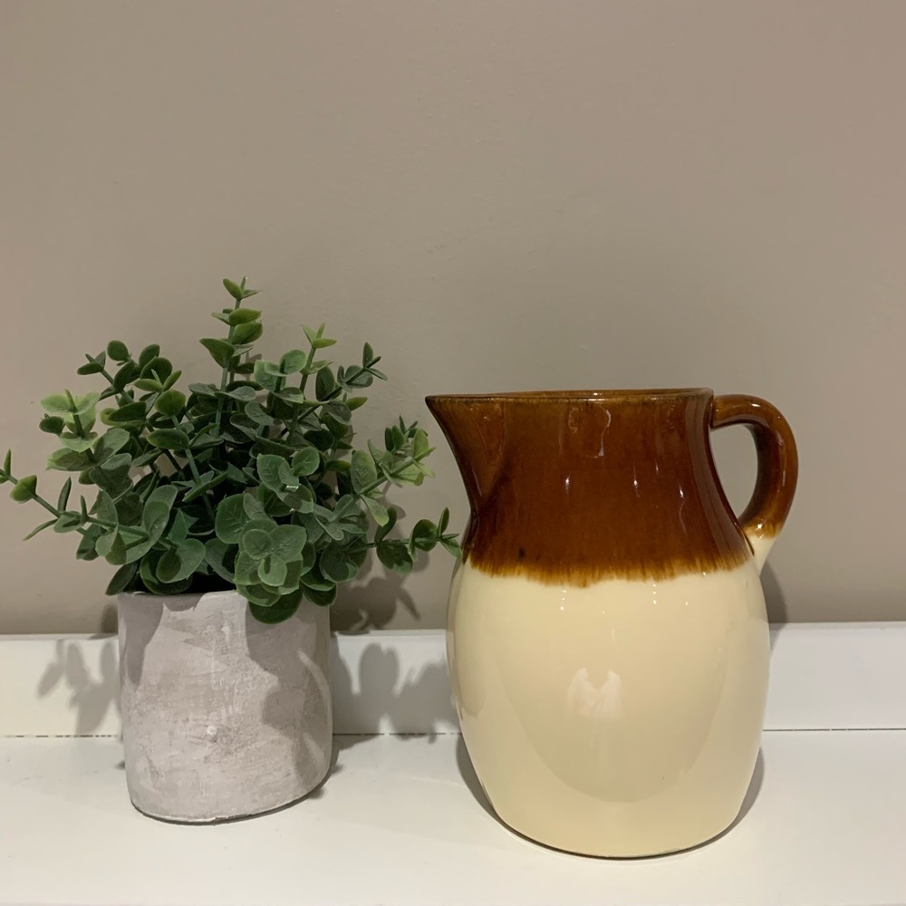Roseville Pottery Robinson Ransbottom Pitcher